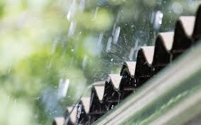 ¿Cómo afecta la lluvia a las plagas?