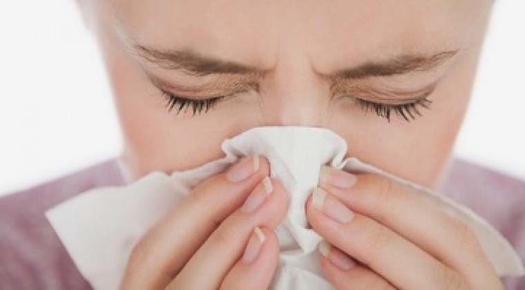 ¿Tienes alergia a alguna plaga?